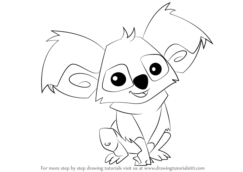 800x566 Learn How To Draw Koala From Animal Jam - Koala Drawing