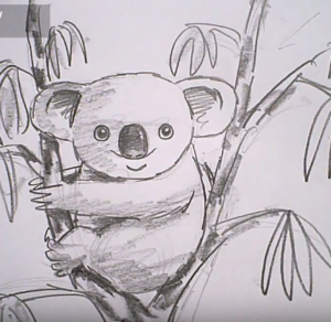 300x292 How To Draw A Koala Easy Step - Koala Drawing