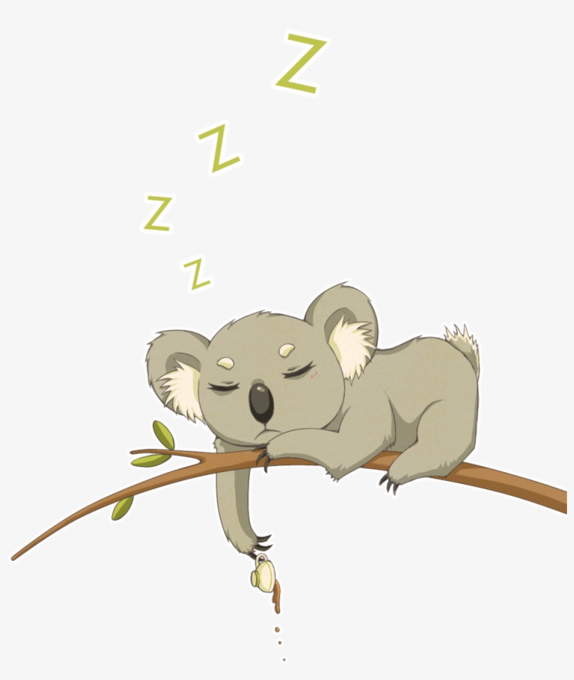 820x971 Drawn Koala Transparent - Koala Drawing Cute