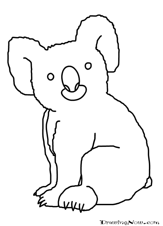 650x900 How To Draw Koala Bears Drawing Tutorials Drawing How - Koala Drawing Step By Step