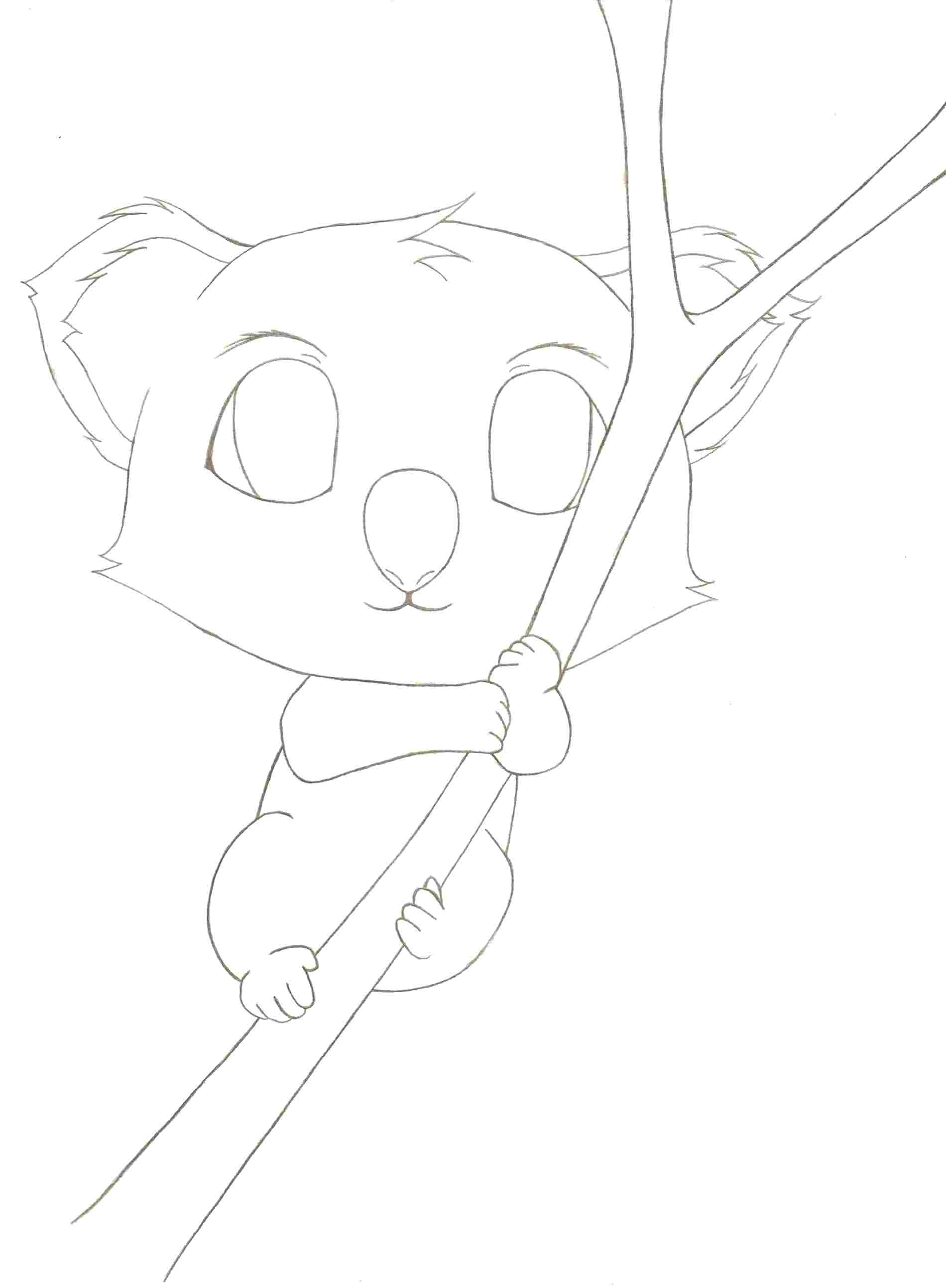 1900x2586 Easy Bear Drawing To Draw Koala Bears Steps With Easy Bear Drawing - Koala Drawing Step By Step