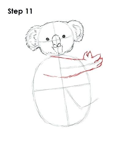 386x500 How To Draw A Koala Draw Koala Koala Drawing Easy Step - Koala Drawing Step By Step