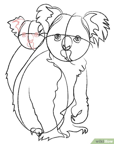 459x576 How To Draw Koala Bears Steps - Koala Line Drawing