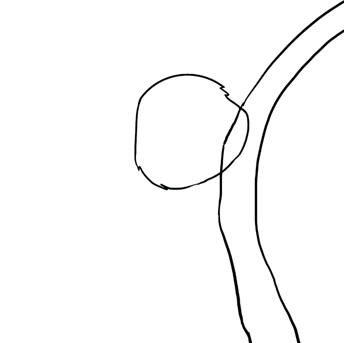 680x678 How To Draw A Koala - Koala Line Drawing