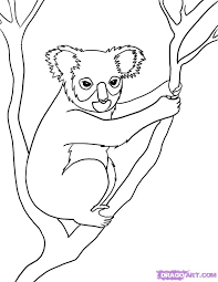 Koala Line Drawing at PaintingValley.com | Explore collection of Koala ...