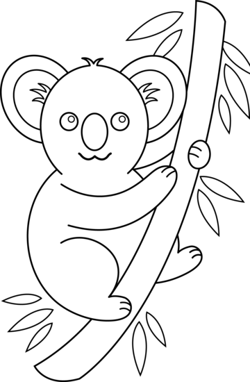 360x550 Koala Line Drawing - Koala Line Drawing