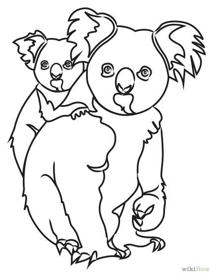 433x560 draw koala bears dots drawings, animal drawings, aboriginal art - Koala Line Drawing