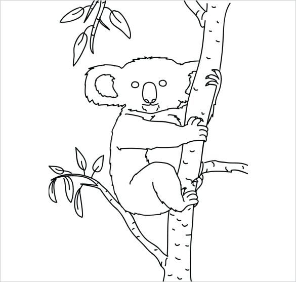 585x557 Drawing Coloring Pages Best Of Luxury Rat Unique Line Templates - Koala Line Drawing