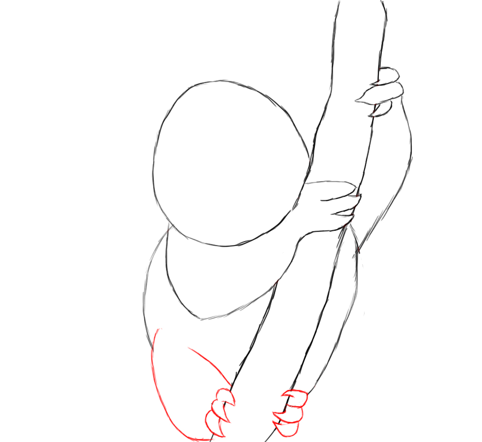 981x900 How To Draw A Koala Easy Step - Koala Outline Drawing