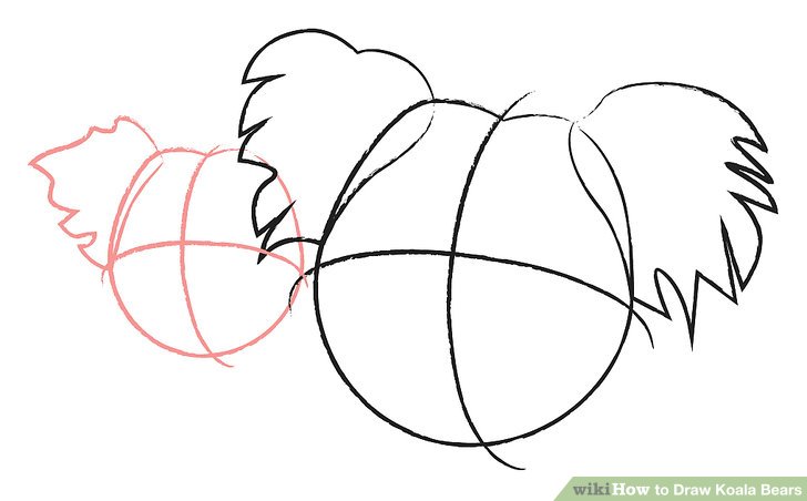 728x452 How To Draw Koala Bears Steps - Koala Outline Drawing