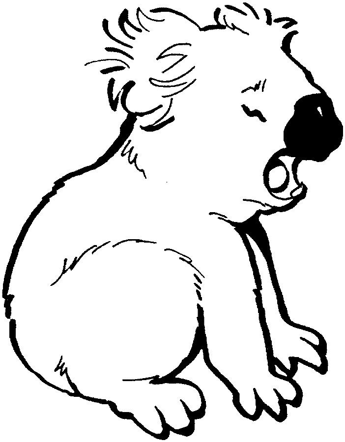702x900 Koala Coloring - Koala Outline Drawing