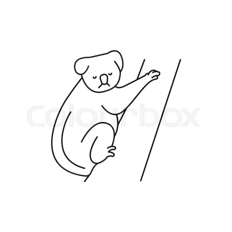 800x800 koala icon outline koala vector icon stock vector colourbox - Koala Outline Drawing