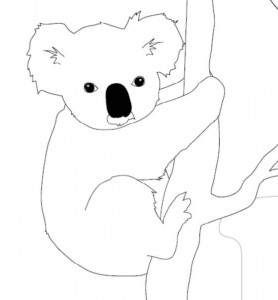 278x300 Outline Drawings Of Australian Animals - Koala Outline Drawing