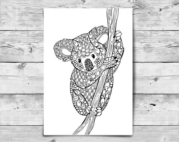 570x453 Adult Coloring - Koala Outline Drawing