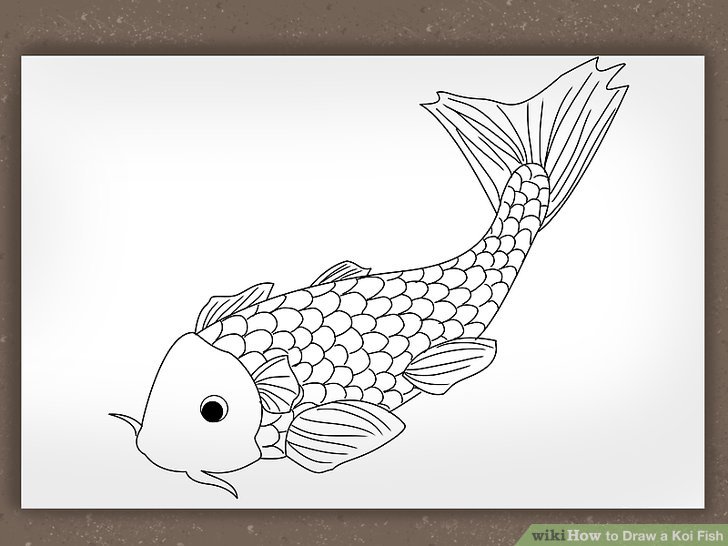 728x546 How To Draw A Koi Fish Steps - Koi Drawing
