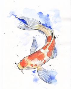 236x295 Step - Koi Drawing