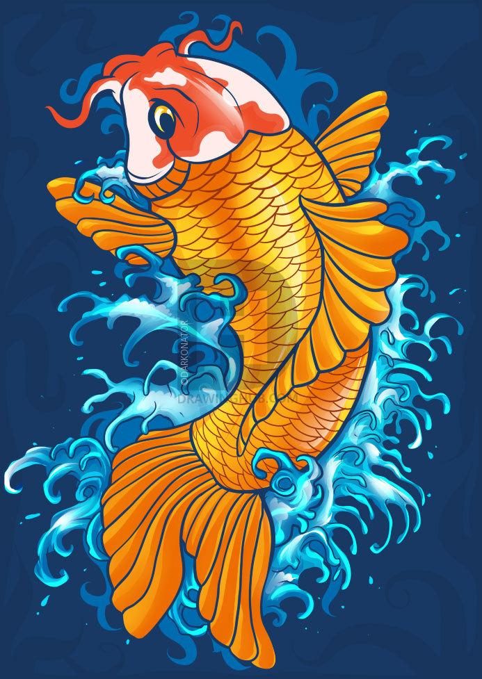 693x977 How To Draw A Koi, Step - Koi Drawing