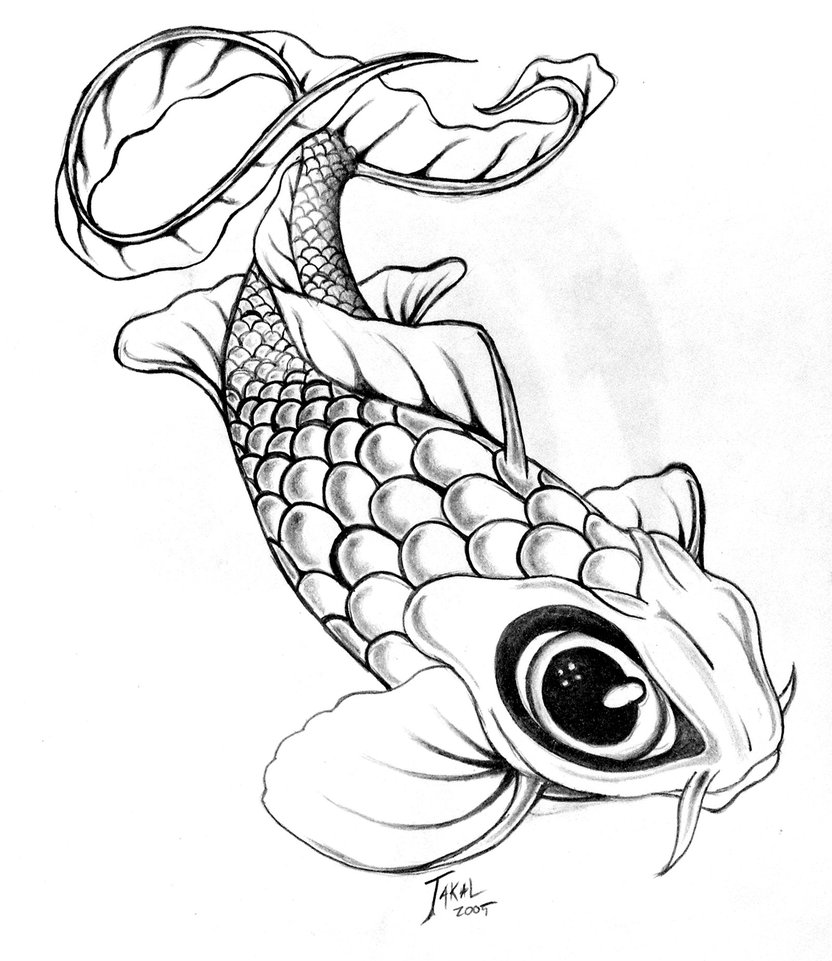 832x961 Drawn Fish Designs Images - Koi Drawing Tattoo