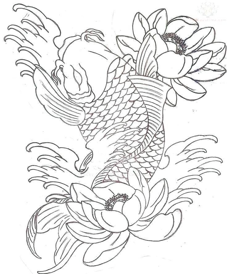 Koi Drawing Tattoo at PaintingValley.com | Explore collection of Koi ...