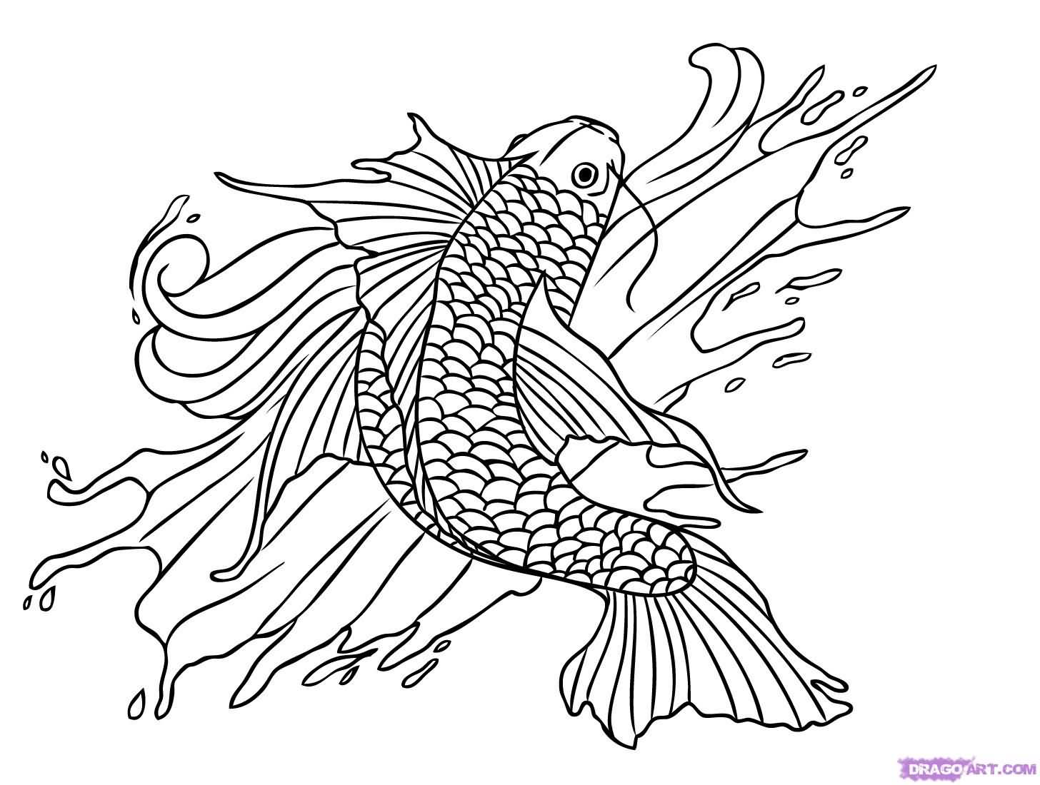 1456x1100 Koi Fish Tattoo Drawing - Koi Drawing Tattoo
