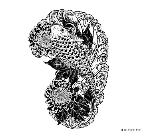 500x465 Koi Fish And Chrysanthemum Tattoo - Koi Drawing Tattoo