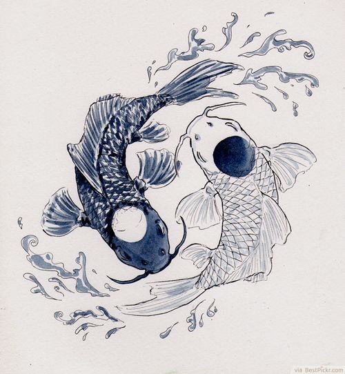 500x542 Cool Yin Yang Tattoos - Koi Drawing Tattoo