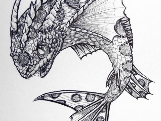 640x480 Drawn Koi Fish Dragon - Koi Fish Dragon Drawing