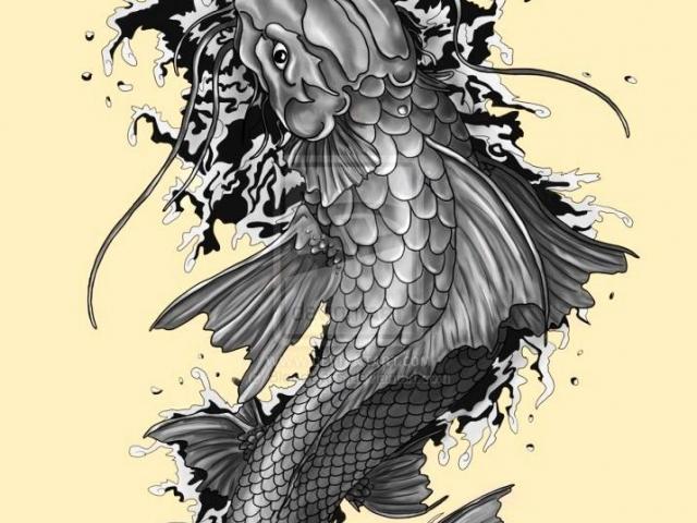 640x480 Drawn Koi Fish Dragon - Koi Fish Dragon Drawing