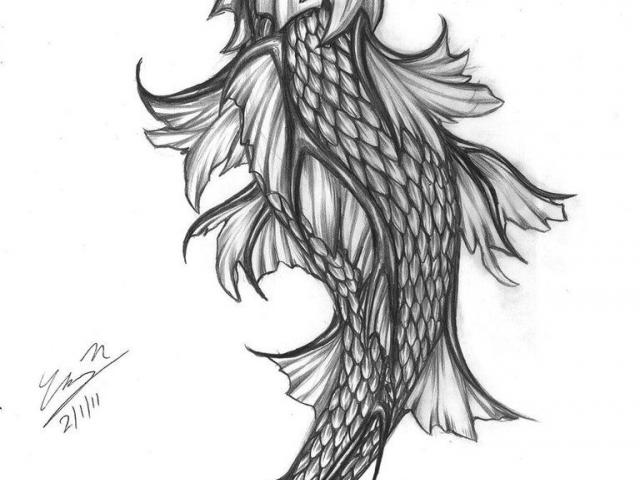 640x480 Free Drawn Koi Fish, Download Free Clip Art - Koi Fish Dragon Drawing