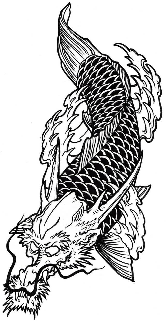 Koi Fish Dragon Drawing at Explore collection of