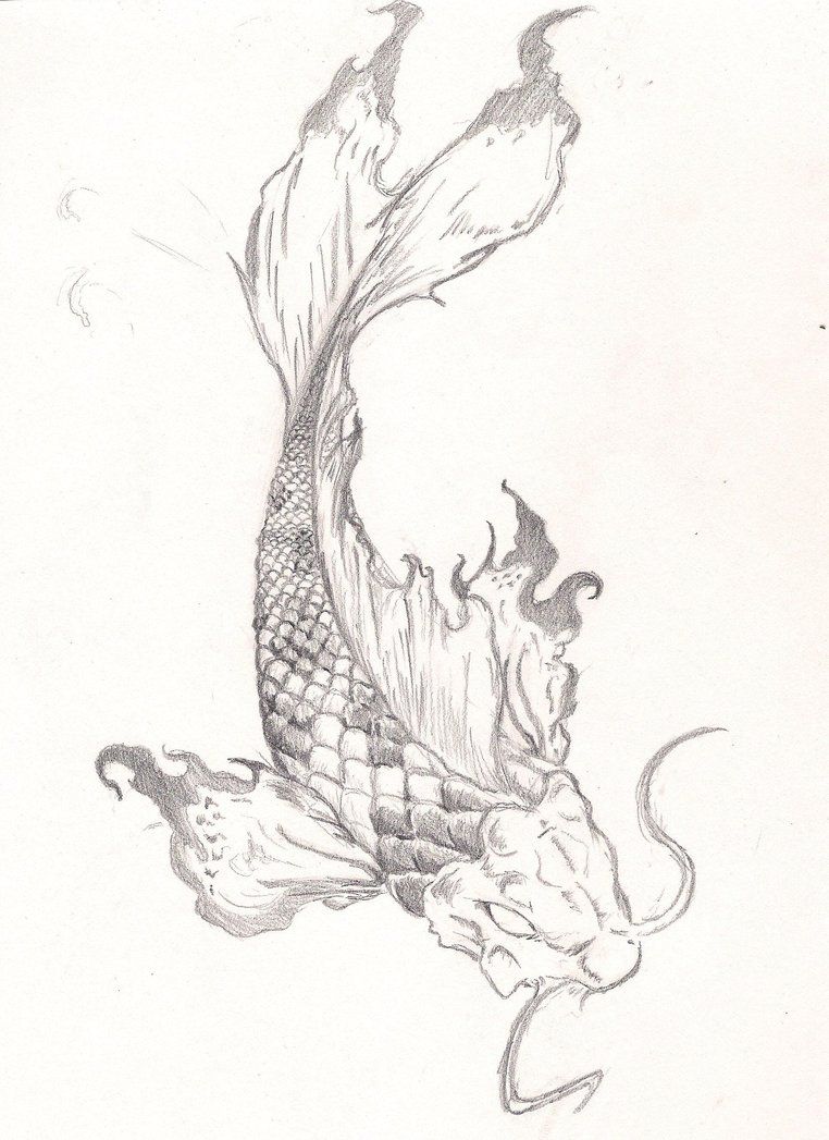 762x1047 Koi Fish Tattoo - Koi Fish Dragon Drawing