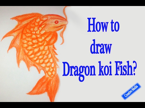 480x360 Drawing Art Video - Koi Fish Dragon Drawing
