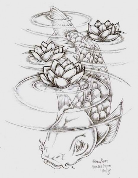 466x600 Coy Fish Drawing - Koi Fish Drawing