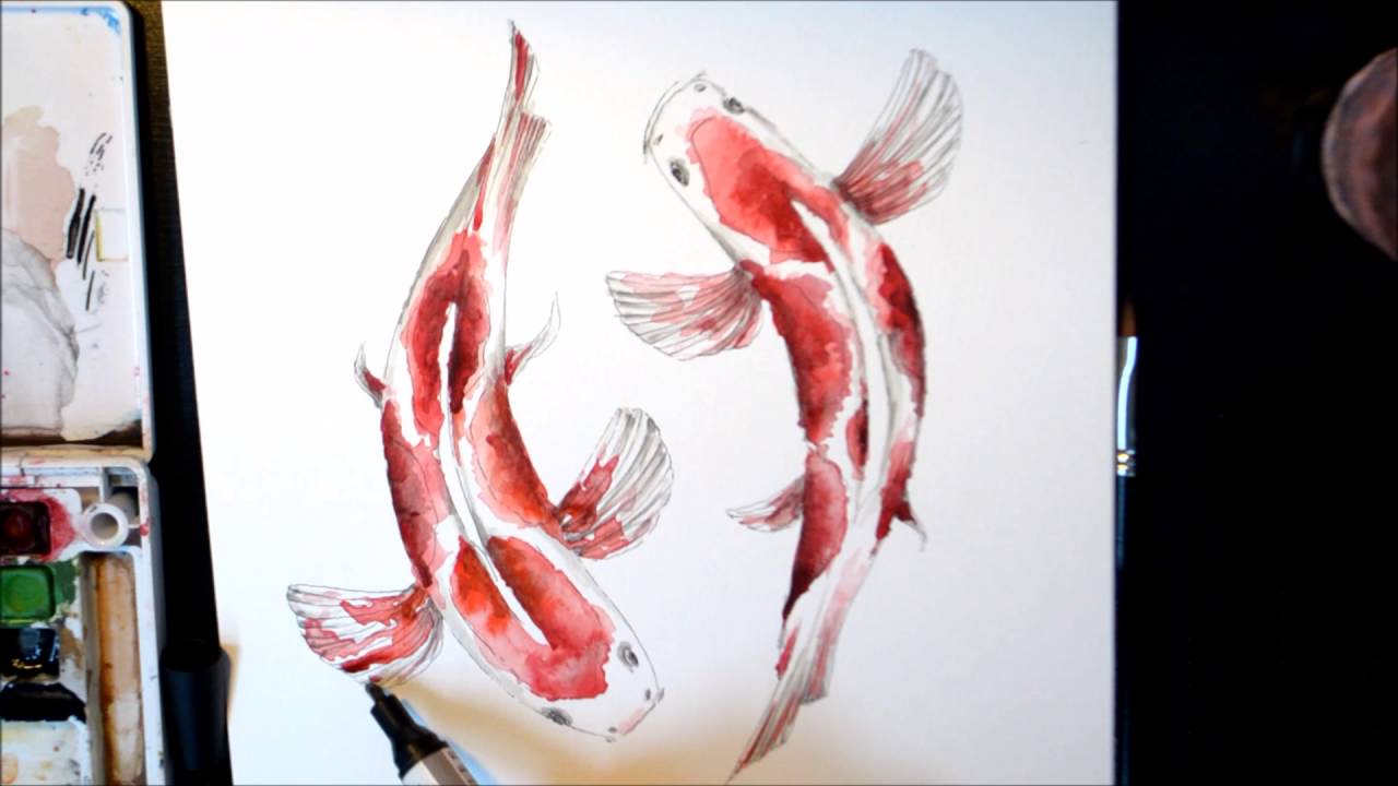 1280x720 Koi Fish Watercolor Drawing - Koi Fish Drawing