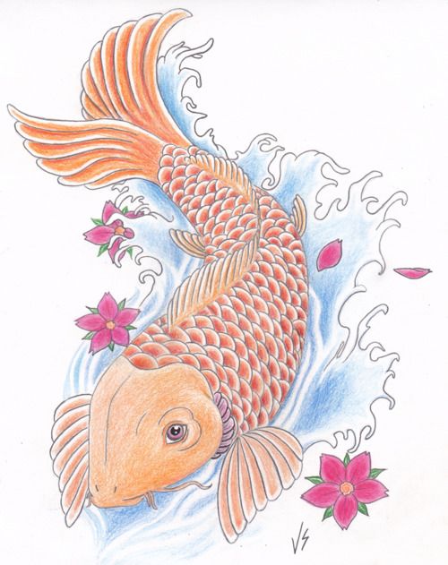 500x631 Color Drawing Koi Tattoo With Fish And Flowers - Koi Fish Drawing