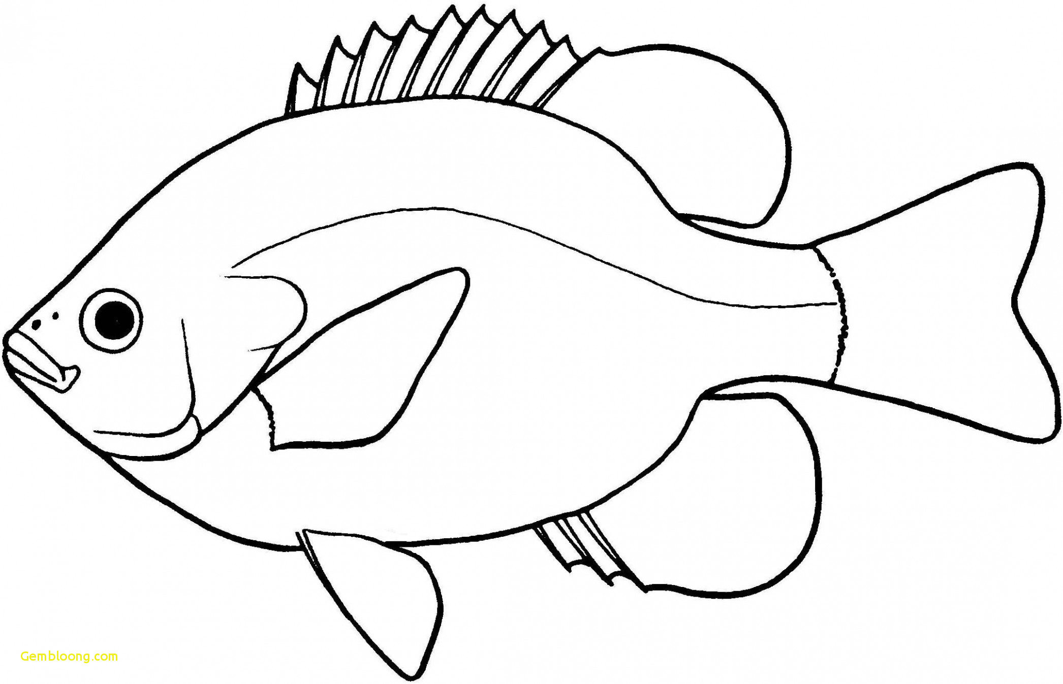 Koi Fish Drawing Outline at Explore collection of