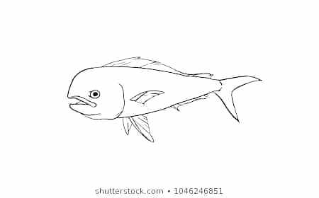 450x280 Easy Simple Koi Fish Drawing - Koi Fish Drawing Outline