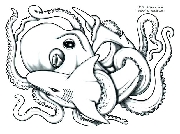 618x462 fish drawing outline fish outline clip art library clown fish - Koi Fish Drawing Outline