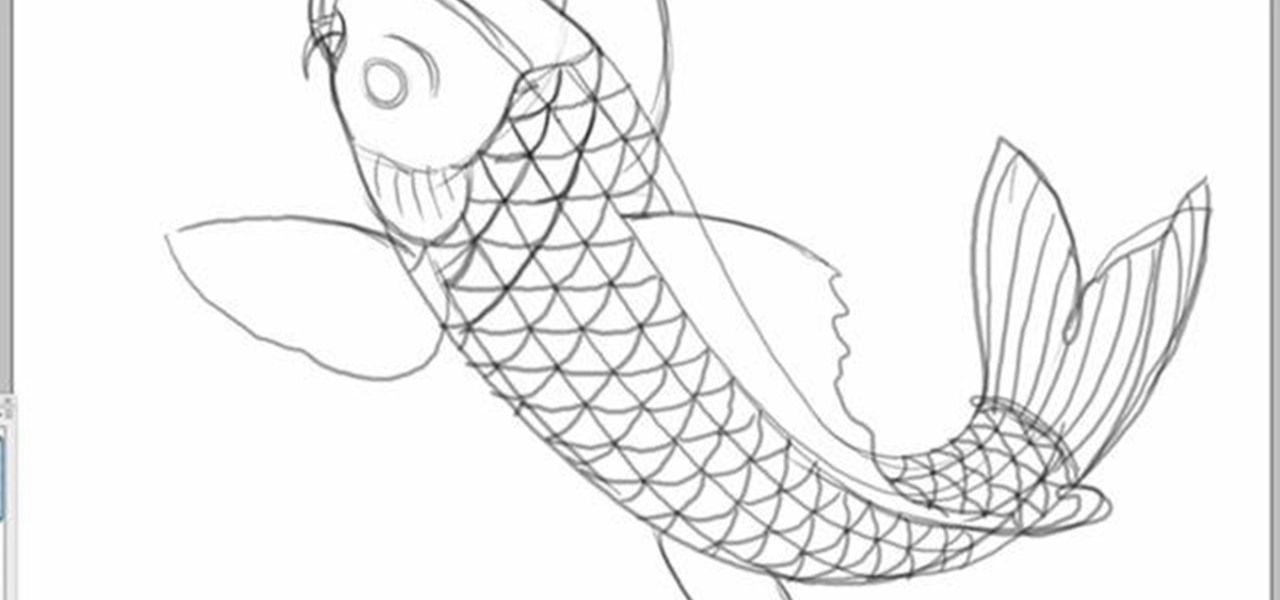 1280x600 how to draw a koi fish in photoshop photoshop wonderhowto - Koi Fish Drawing Outline