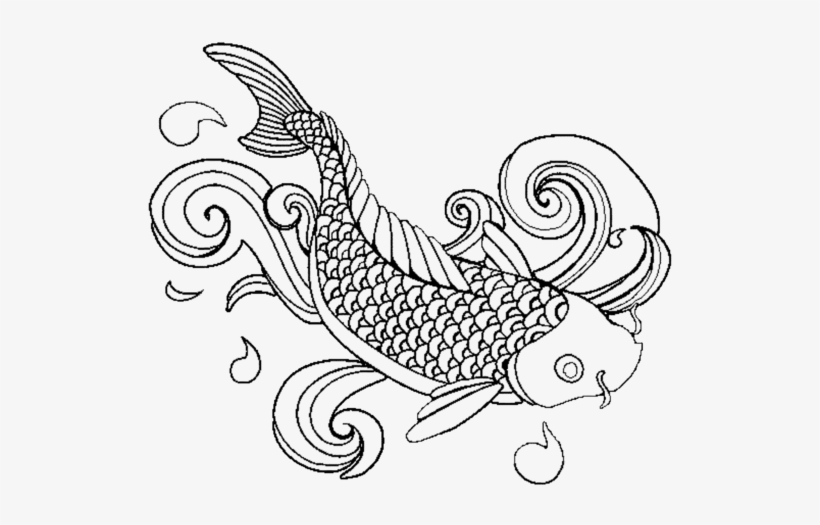 Koi Fish Drawing Outline at PaintingValley.com | Explore ...