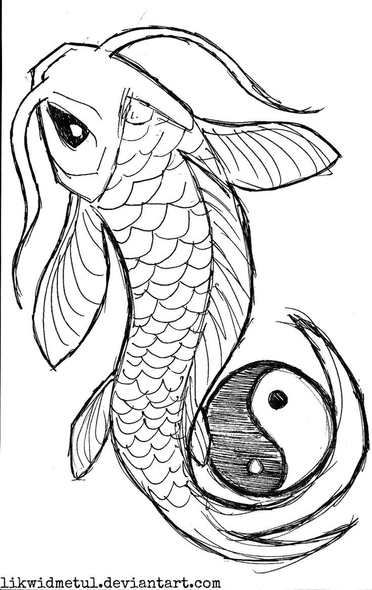 736x1166 Black Koi With Yin Yang Tattoo Stencil - Koi Fish Drawing Outline