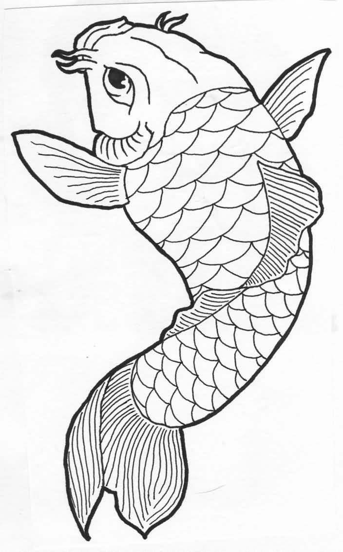 Pretty Koi Fish Drawing at Explore collection of