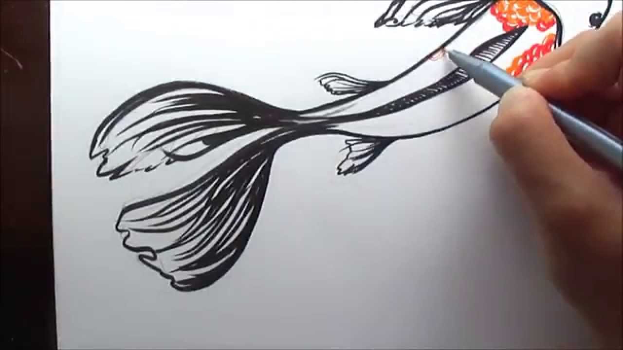1280x720 How To Draw A Koi Fish - Koi Fish Drawing Simple
