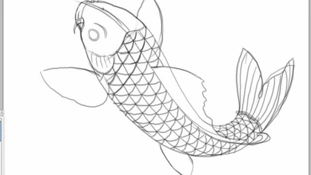 1280x720 Ruthless Toothless Kids Tutorial - Koi Fish Drawing Simple