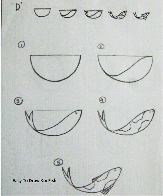 520x624 Easy To Draw Koi Fish Here You Will Find Some Very Easy Drawing - Koi Fish Drawing Step By Step