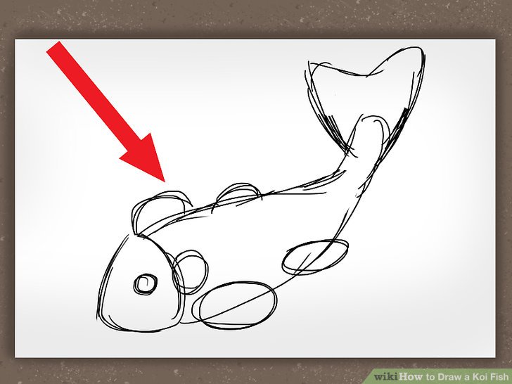 728x546 How To Draw A Koi Fish Steps - Koi Fish Drawing Step By Step