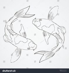 235x251 Step - Koi Fish Drawing Step By Step