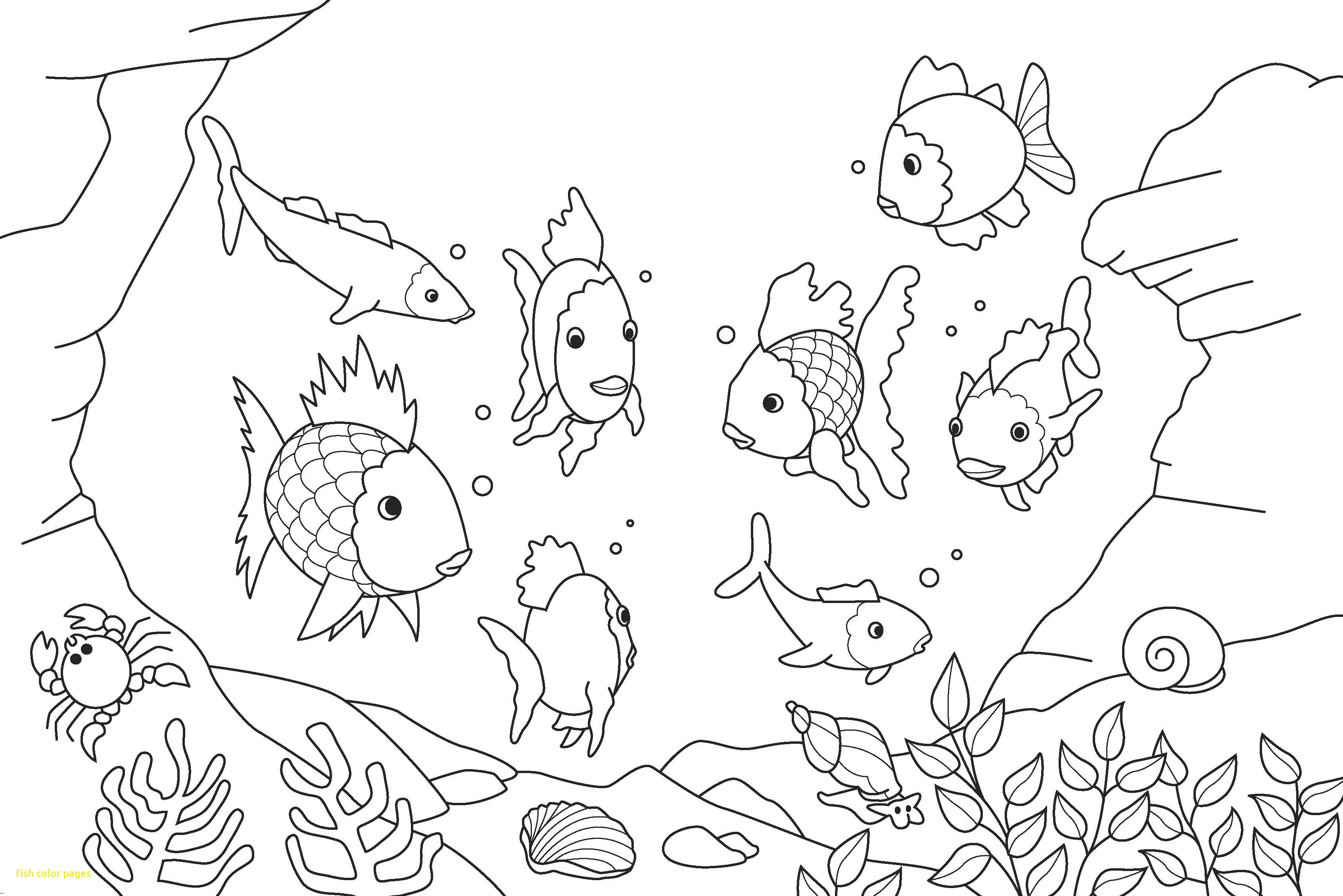 3386x2260 Coloring Pages For Kids Sea Animals With Koi Fish Drawing Step - Koi Fish Drawing Step By Step