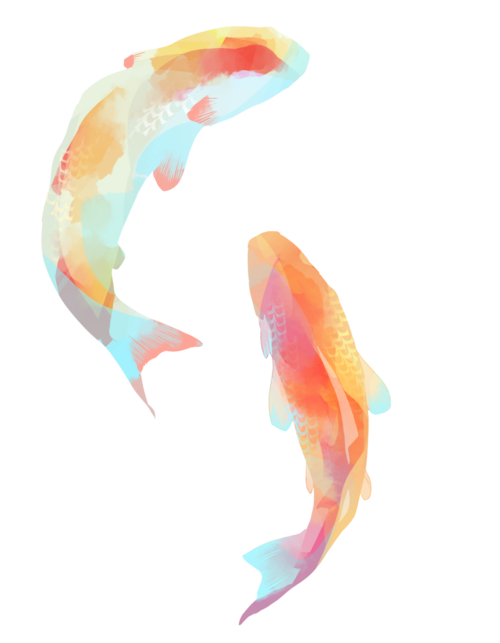 500x643 Pictures Of Koi Fish Tumblr - Koi Fish Drawing Tumblr