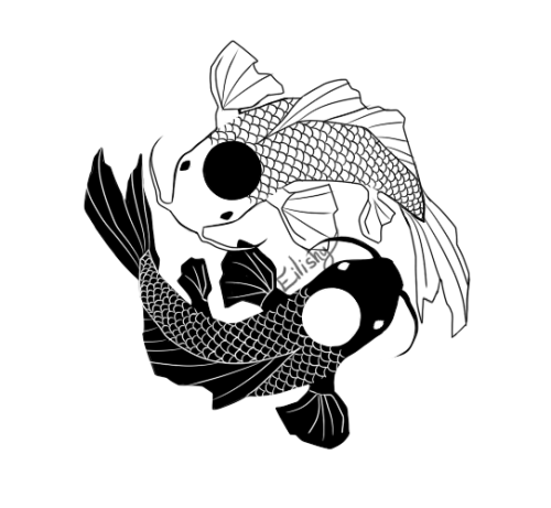 500x461 Fish Ying Yang Illustration - Koi Fish Drawing Tumblr